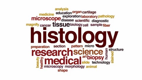 Anatomy  Histology -1st year, semester 2- faculty of pharmacy azhar university
